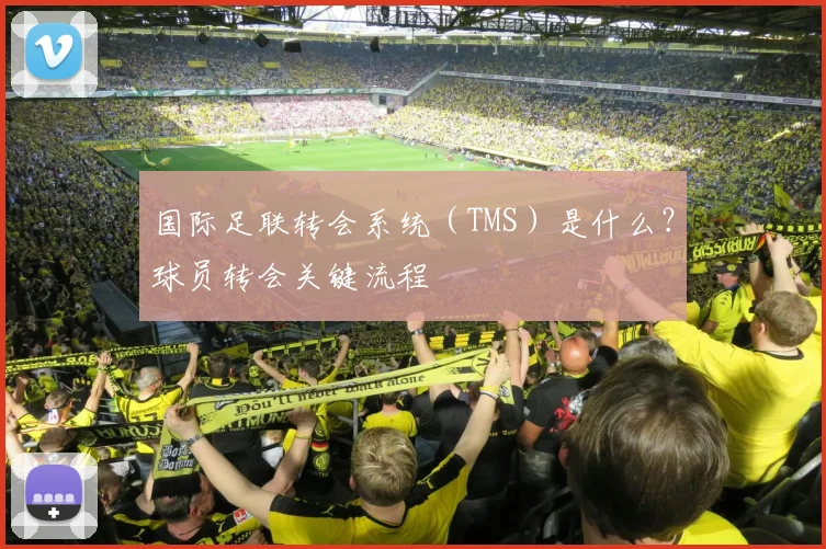 国际足联转会系统(TMS)是什么?球员转会关键流程
